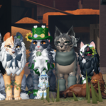 test ( dont mind this )