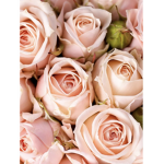 Rosey Flowers