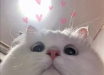 adorwble
