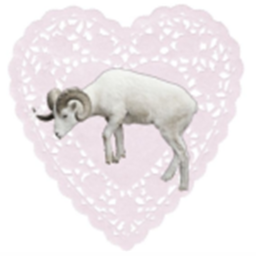 ♡
