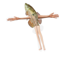 The Fishman fan club