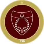 TFG | Askeri İnzibat