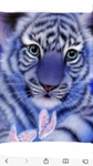 Tiger pups