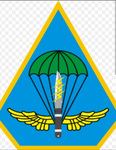 中國解放軍 陸軍特戰部隊Army Special Operations Forces