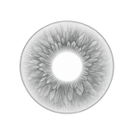 IRAXIS