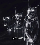 乂CERBERUS
