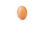 Diy's Egg Hunt Group