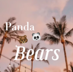 Panda bear's