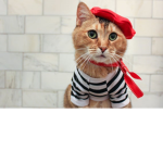 French Cat Group