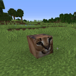 -----piggy squad-----