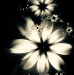 Flower_09163