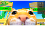 NoamKK_YT