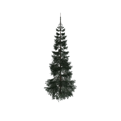 Realistic Pine Tree 