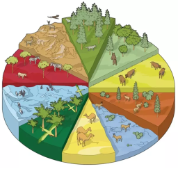 🌎 Biomes Obby icon
