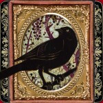 Sonata-Rose Coffeehouse