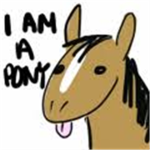 MEH IZ MIDGET PONY!