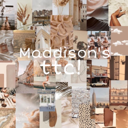 maddisons ttc!