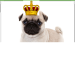 The Epic PUG fan group