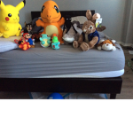 Peter and friends adventures