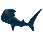 Whale Shark Tail - Shark Week 2024