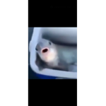 hi there ssssss