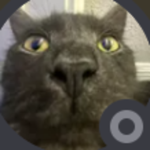 chris 3d4te