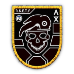 New Swabian Expeditionary Task Force