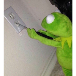 shoot kermit and his followers