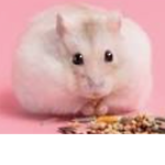 LydiaRachel