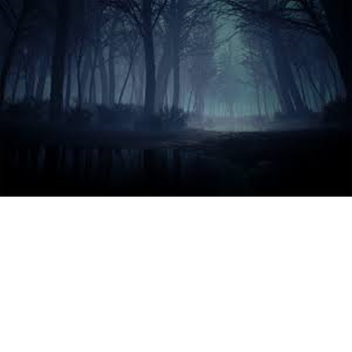 Scary Forst!