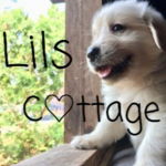-Lil's Cottage-