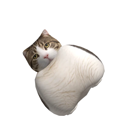 Fat Cat Pillow Roblox item thumbnail