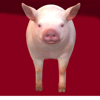 Pig - Chapter 1