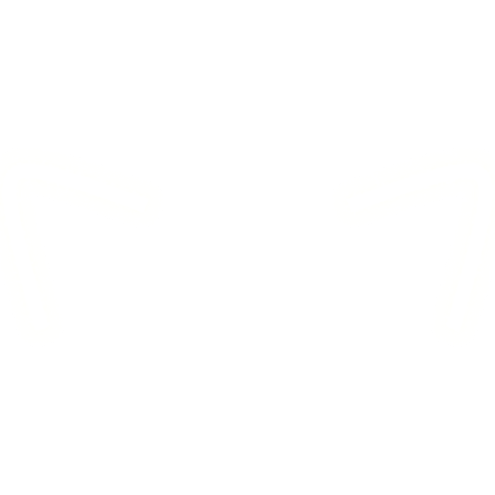 Neon Cat Ears