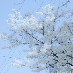 ˚ ୨୧ ˚