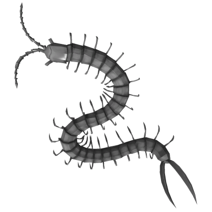 Grey Centipede on Your Back [PBR] Roblox item