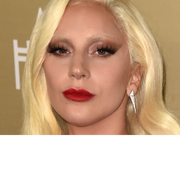 lady gaga’s biggest fans x
