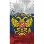 The Russian Goverment