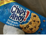 Very very cool cool cool brown cookie