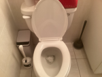 The Toilet tower defense group 989