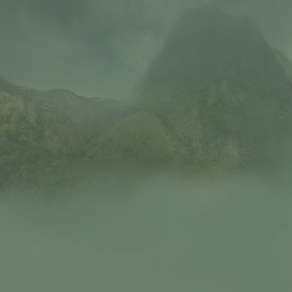 Jungle Skybox