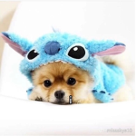 Angel and stitch club