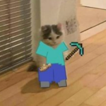 RIP_moon