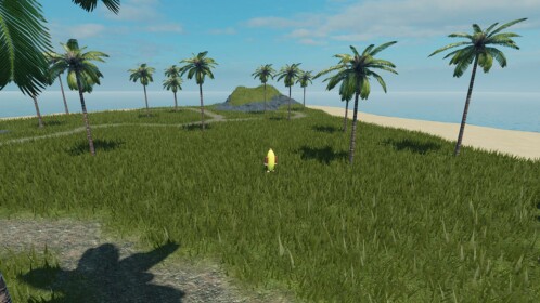 Graphics Test