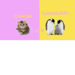 Cooperandlachlannytfangroup