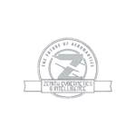 Zenith Cybernetics & Intelligence
