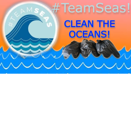 Team Seas Simulator