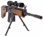 Elite Sniper Combat (E.S.C.)