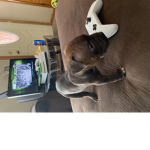 Thomsplus43 gives robux