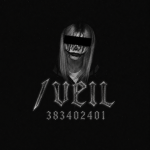 veil,.